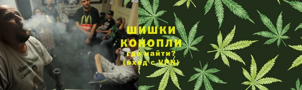 дмт Алзамай