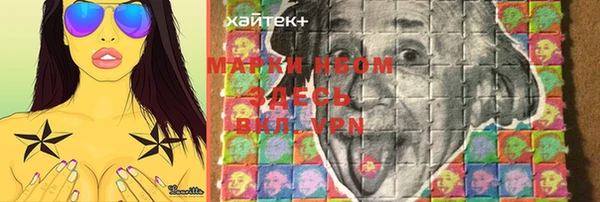 дмт Алзамай