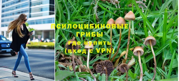 соль курить ск Алексеевка