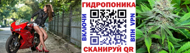 Шишки марихуана AK-47  Разумное 